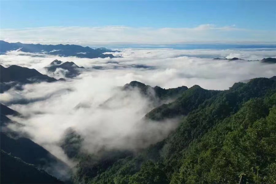 石泉云雾山风景区图片